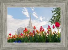 Load image into Gallery viewer, Ogden Flowers