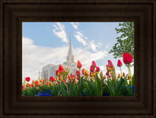Load image into Gallery viewer, Ogden Flowers