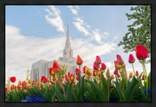 Load image into Gallery viewer, Ogden Flowers