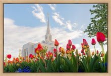 Load image into Gallery viewer, Ogden Flowers