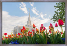 Load image into Gallery viewer, Ogden Flowers