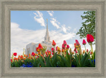 Load image into Gallery viewer, Ogden Flowers