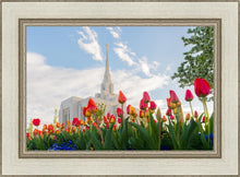 Load image into Gallery viewer, Ogden Flowers