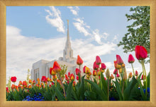 Load image into Gallery viewer, Ogden Flowers