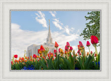 Load image into Gallery viewer, Ogden Flowers