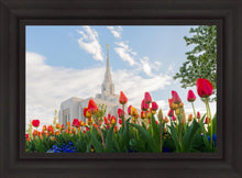Load image into Gallery viewer, Ogden Flowers