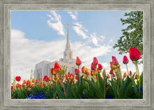 Load image into Gallery viewer, Ogden Flowers