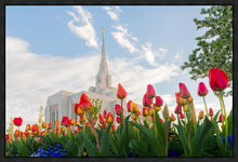 Load image into Gallery viewer, Ogden Flowers