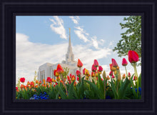 Load image into Gallery viewer, Ogden Flowers