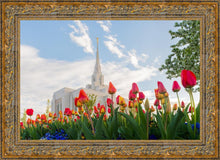 Load image into Gallery viewer, Ogden Flowers