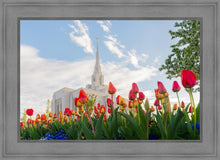 Load image into Gallery viewer, Ogden Flowers