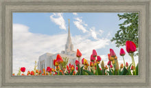 Load image into Gallery viewer, Ogden Flowers