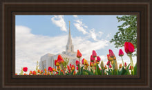Load image into Gallery viewer, Ogden Flowers