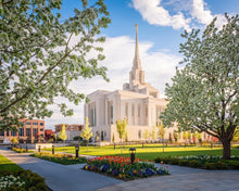 Load image into Gallery viewer, Ogden Grounds