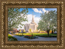 Load image into Gallery viewer, Ogden Grounds