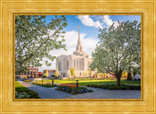 Load image into Gallery viewer, Ogden Grounds
