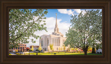 Load image into Gallery viewer, Ogden Grounds