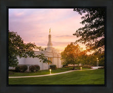 Load image into Gallery viewer, Palmyra Oh How Lovely was the Morning