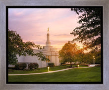 Load image into Gallery viewer, Palmyra Oh How Lovely was the Morning