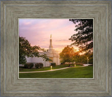 Load image into Gallery viewer, Palmyra Oh How Lovely was the Morning