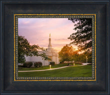 Load image into Gallery viewer, Palmyra Oh How Lovely was the Morning