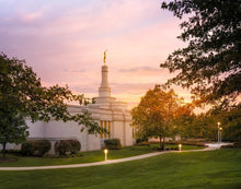 Load image into Gallery viewer, Palmyra Oh How Lovely was the Morning