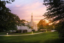 Load image into Gallery viewer, Palmyra Oh How Lovely was the Morning