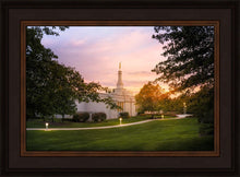 Load image into Gallery viewer, Palmyra Oh How Lovely was the Morning