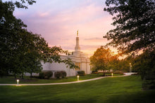 Load image into Gallery viewer, Palmyra Oh How Lovely was the Morning