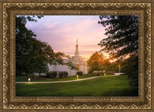 Load image into Gallery viewer, Palmyra Oh How Lovely was the Morning