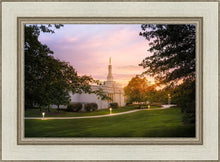 Load image into Gallery viewer, Palmyra Oh How Lovely was the Morning