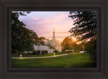 Load image into Gallery viewer, Palmyra Oh How Lovely was the Morning