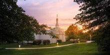 Load image into Gallery viewer, Palmyra Oh How Lovely was the Morning