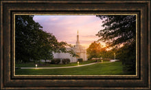 Load image into Gallery viewer, Palmyra Oh How Lovely was the Morning