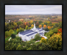 Load image into Gallery viewer, Palmyra and Sacred Grove Aerial