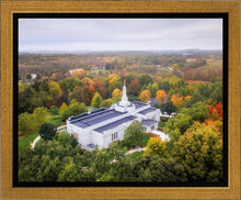 Load image into Gallery viewer, Palmyra and Sacred Grove Aerial