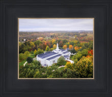 Load image into Gallery viewer, Palmyra and Sacred Grove Aerial