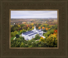 Load image into Gallery viewer, Palmyra and Sacred Grove Aerial