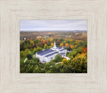 Load image into Gallery viewer, Palmyra and Sacred Grove Aerial