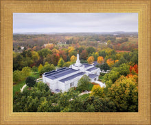 Load image into Gallery viewer, Palmyra and Sacred Grove Aerial