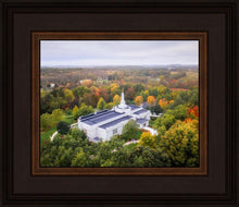 Load image into Gallery viewer, Palmyra and Sacred Grove Aerial