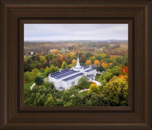 Load image into Gallery viewer, Palmyra and Sacred Grove Aerial