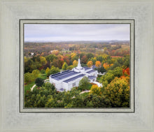 Load image into Gallery viewer, Palmyra and Sacred Grove Aerial
