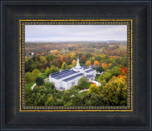 Load image into Gallery viewer, Palmyra and Sacred Grove Aerial