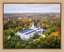 Load image into Gallery viewer, Palmyra and Sacred Grove Aerial