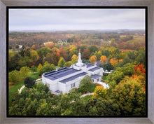 Load image into Gallery viewer, Palmyra and Sacred Grove Aerial