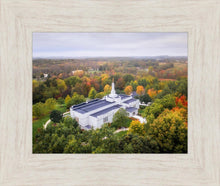 Load image into Gallery viewer, Palmyra and Sacred Grove Aerial