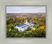 Load image into Gallery viewer, Palmyra and Sacred Grove Aerial