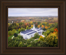 Load image into Gallery viewer, Palmyra and Sacred Grove Aerial