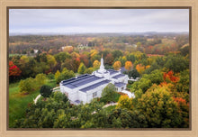 Load image into Gallery viewer, Palmyra and Sacred Grove Aerial